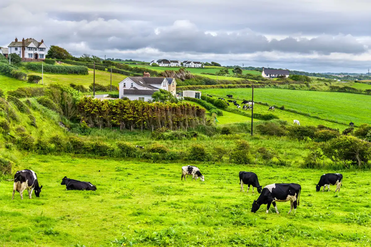 Now Hiring Dairy Farmers for the United Kingdom