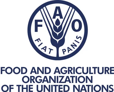FAO Recruitment and Internship 2026: Requirements and How to Apply fao